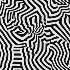 Intriguing Black and White Pattern Design