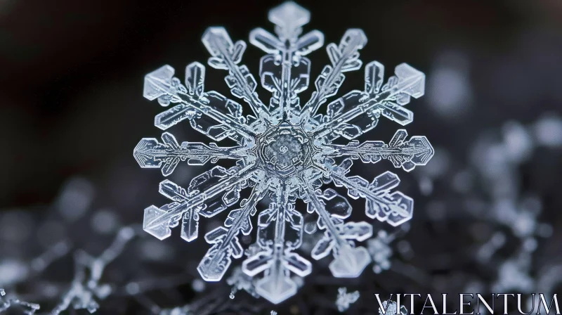 Close-up Snowflake: A Captivating Display of Nature's Intricacy AI Image