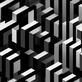 Black and White Geometric Maze Pattern