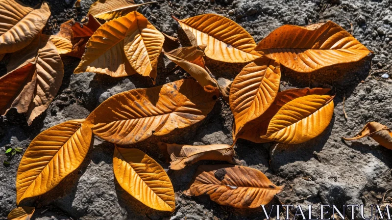 Close-up of Vibrant Fallen Leaves on the Ground - Nature Photography AI Image