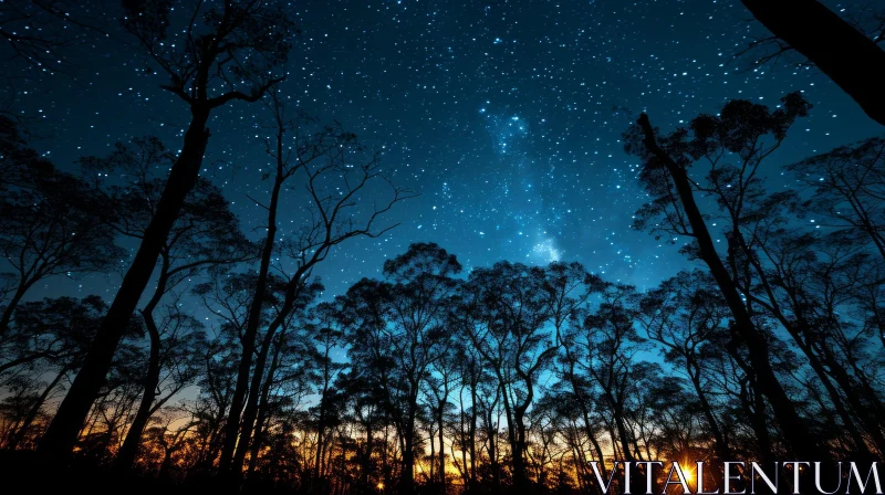 Enchanting Night Forest Landscape with Stars AI Image