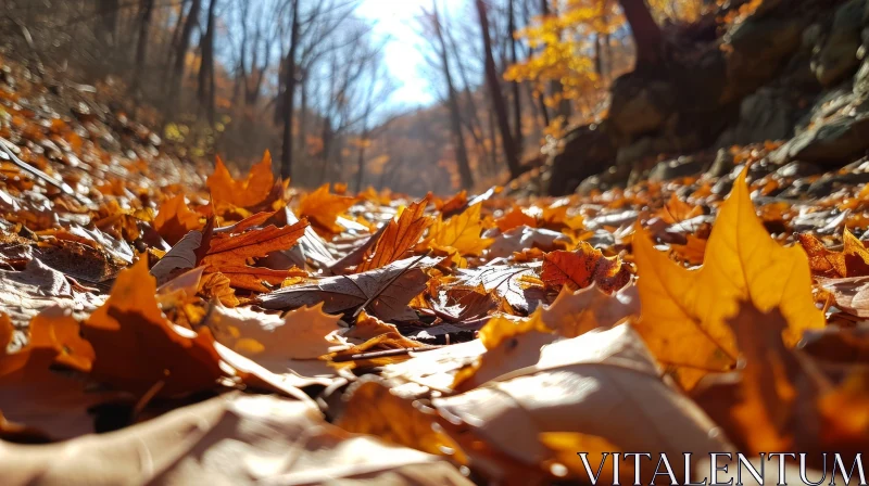Captivating Fall Foliage: A Ground-Level Perspective AI Image