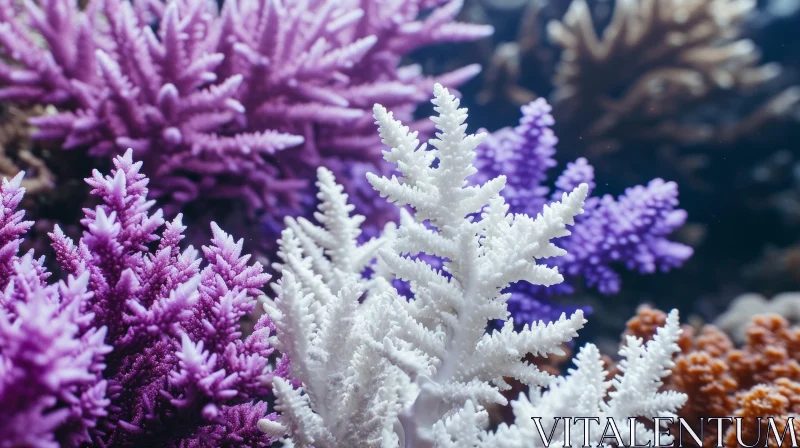 Close-up of a Colorful Coral Reef | Vibrant Corals and Marine Life AI Image