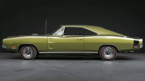 1970 Dodge Charger R/T Muscle Car in Green | Classic Car Art
