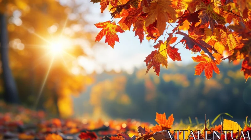 Serene Forest Landscape in Autumn | Vibrant Fall Colors AI Image
