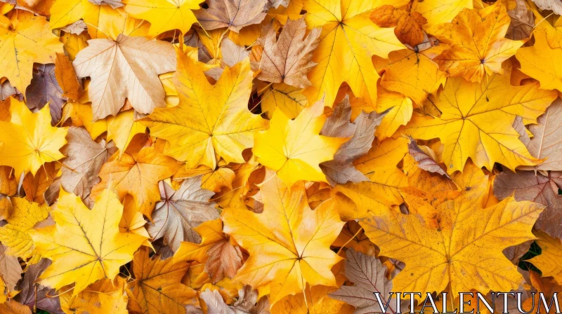 Close-up of Fallen Autumn Leaves in Vibrant Colors AI Image