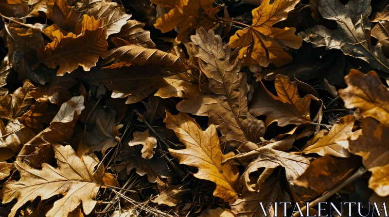 Close-Up of Fallen Leaves in Autumn - Warm and Inviting Image AI Image