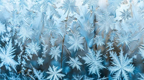 Frozen Window with Beautiful Ice Crystals - Close-up Nature Photography