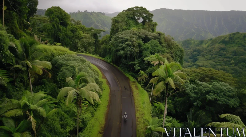 Exploring the Tropical Rainforest: Aerial View of Motorcyclist AI Image
