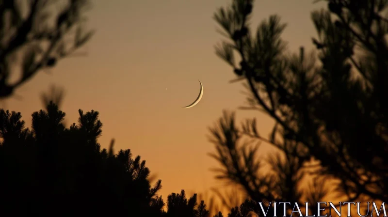 Crescent Moon and Pine Tree: A Captivating Image of Hope and Strength AI Image