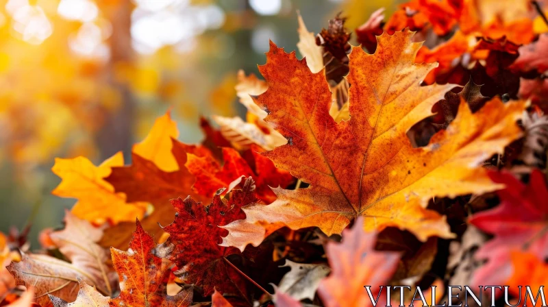 Close-up of Fallen Autumn Leaves - Vibrant Maple Leaf Pile in Forest AI Image