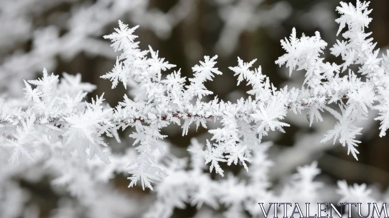 Delicate Frost-Covered Branch: A Captivating Natural Wonder AI Image