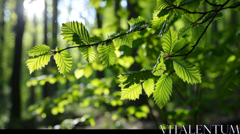 Enchanting Close-Up: Lush Green Leaves Backlit by the Sun AI Image