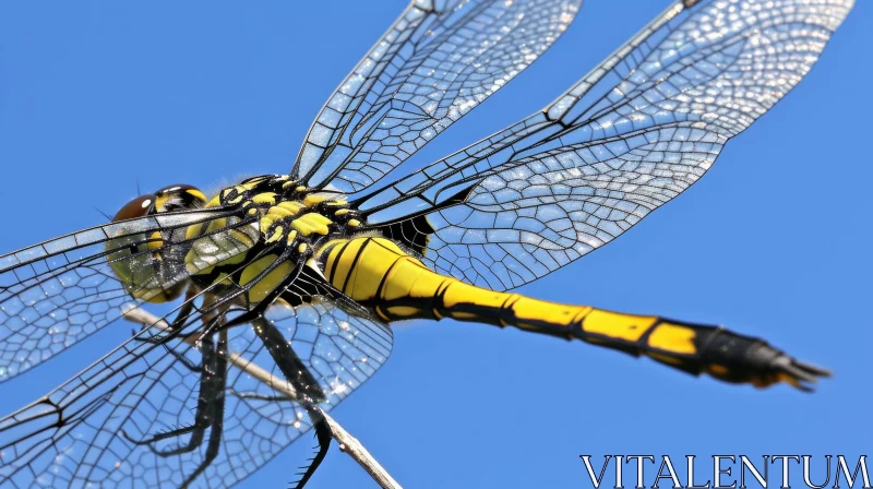 Yellow Dragonfly on Branch against Blue Sky AI Image