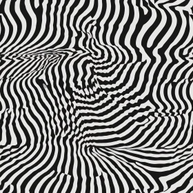 Monochrome Vector Stripes - Zebra Skin Seamless Pattern