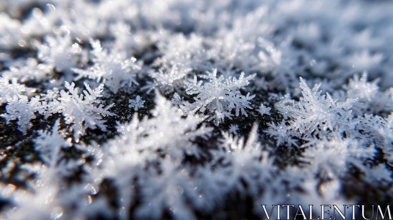 AI ART Close-up of Delicate Frost on Wooden Surface | Natural Winter Beauty