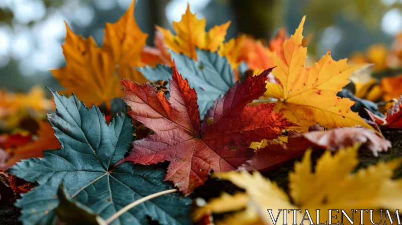 Fallen Maple Leaves in Autumn: A Captivating Close-Up AI Image
