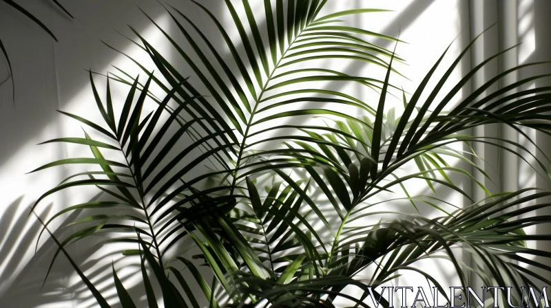 Captivating Houseplant with Green Leaves and Shadows on White Wall AI Image