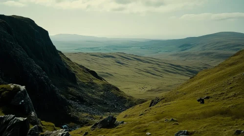 Scenic Valley Landscape in Scottish Highlands
