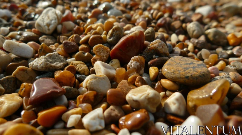Close-up of Wet Pebbles on the Beach AI Image