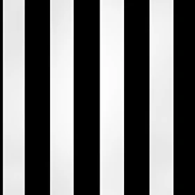 Monochrome Vertical Striped Pattern