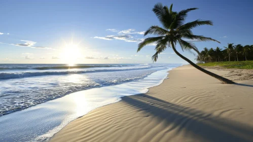 Tranquil Beach Scene with Palm Tree and Waves