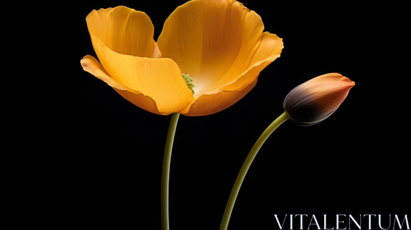 AI ART Orange Flowers on Dark Background - Close-up Nature Photography