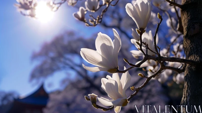 AI ART White Magnolia Flower Close-Up in Full Bloom