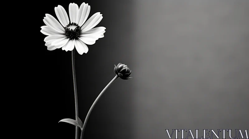 Monochrome Flower Bloom - Nature Photography AI Image