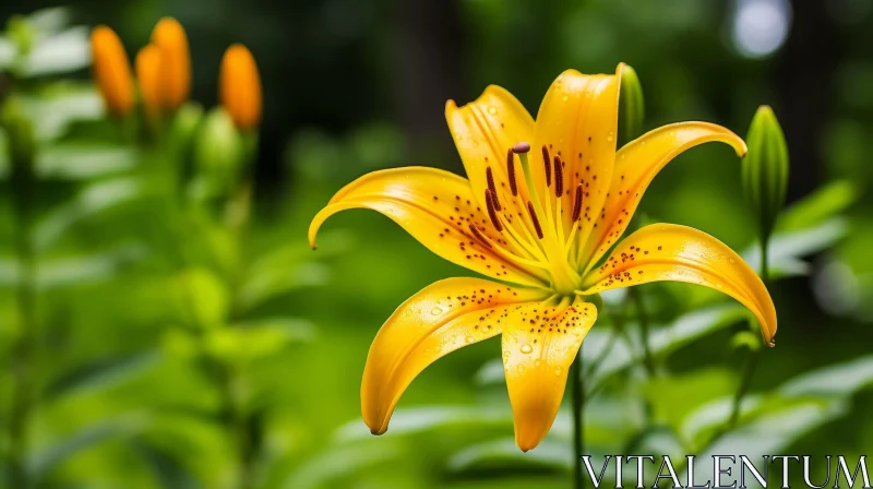 Yellow Lily Flower Close-Up in Natural Setting AI Image