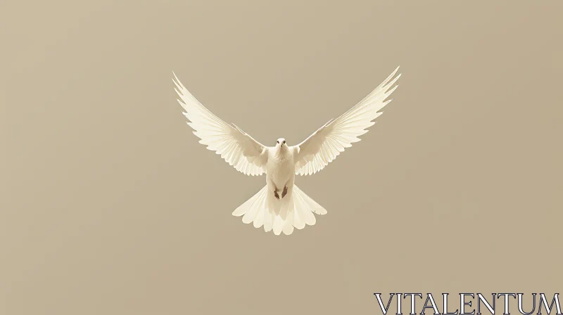 White Dove in Flight - Stock Photo AI Image