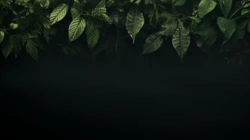 Green Leaves Close-Up Texture on Black Background