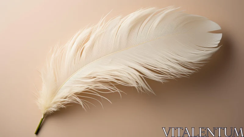 Delicate Ostrich Feather on Pale Pink Background AI Image
