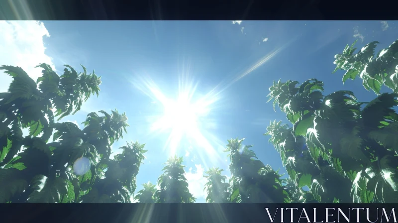 Lush Cannabis Field Under Bright Sun AI Image