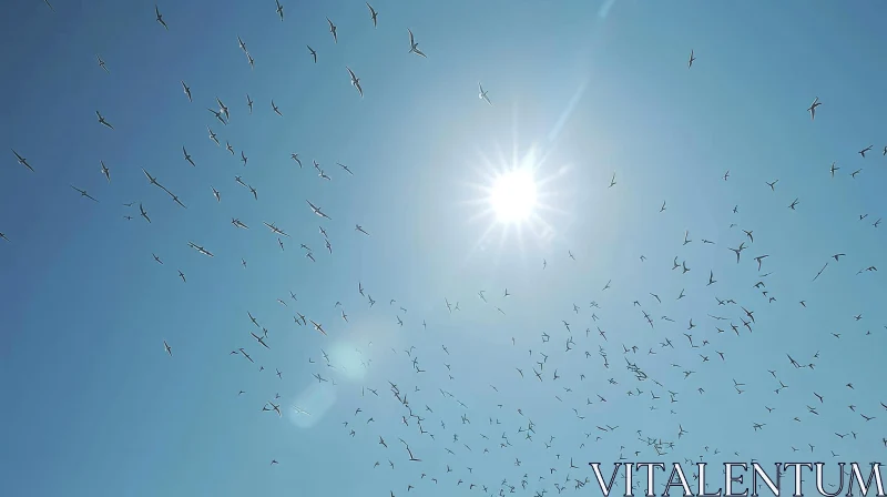 Graceful Flight: Majestic Birds Soaring in the Sunlit Sky AI Image