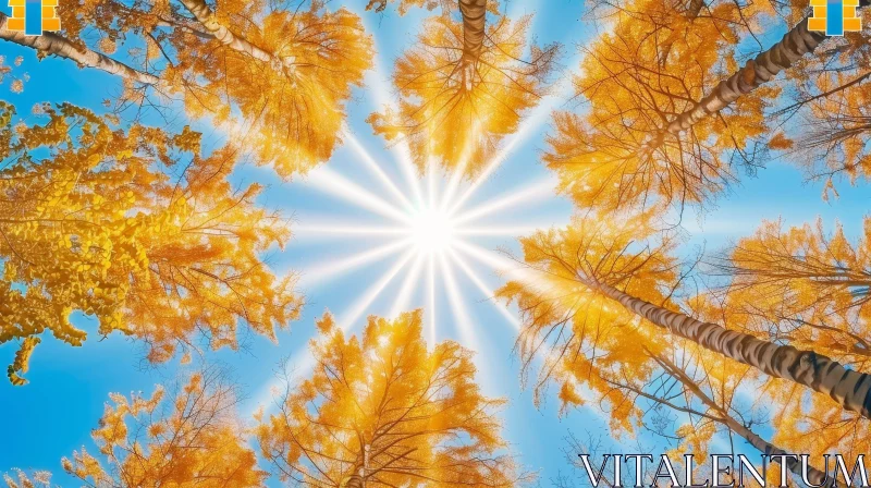 Golden Trees and Sunlight: Nature's Beauty Captured AI Image