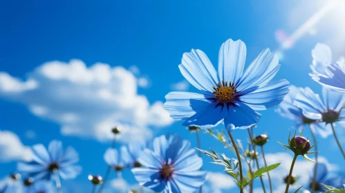 Blue Flower Close-Up: Beauty of Nature Captured