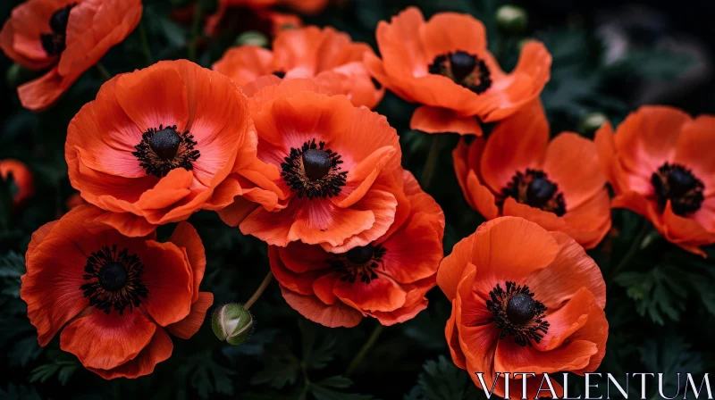 Red Poppies Field: Stunning Close-up of Blooming Flowers AI Image