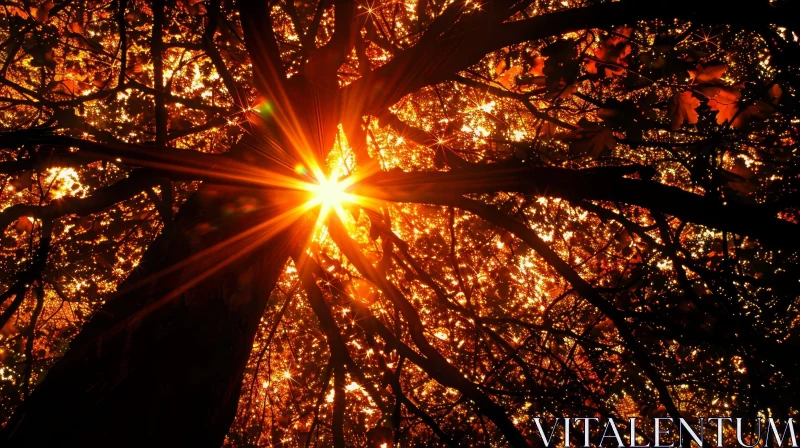 AI ART Sunlight Through Trees: A Natural Beauty