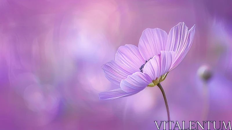 Beautiful Light Purple Flower in Full Bloom AI Image
