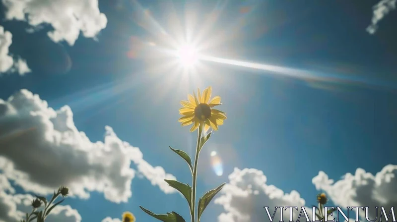 AI ART Sunflower Bloom Against Blue Sky - Nature Photography