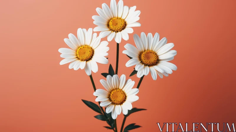 White Daisies on Orange Background - Close-Up Floral Photography AI Image