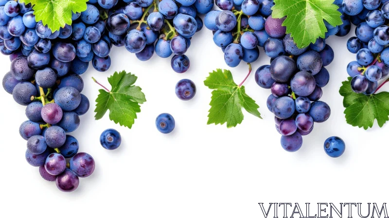 Blue Grapes with Green Leaves - Top View Flat Lay AI Image