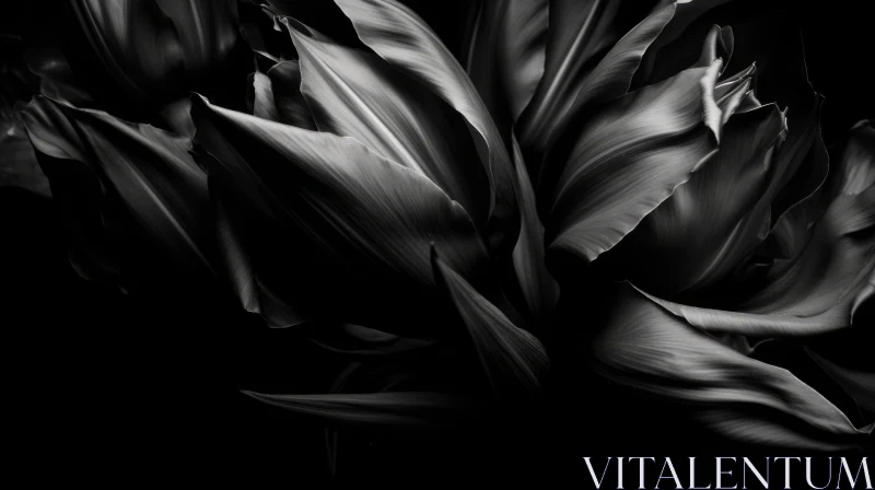 AI ART Monochrome Floral Background with Dark Tulip Petals