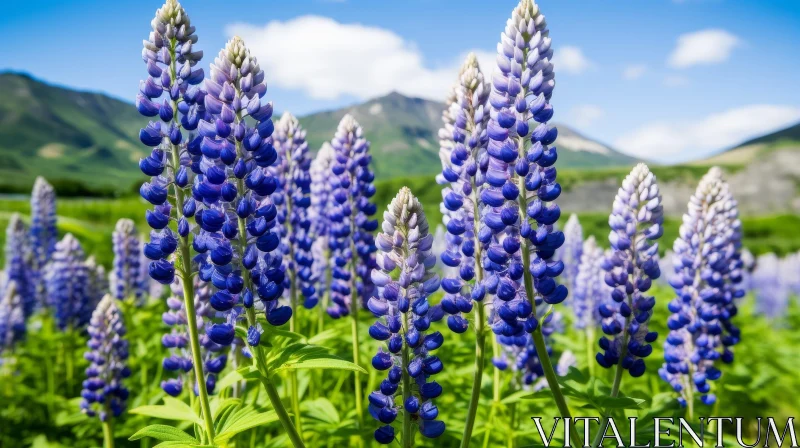 Beautiful Lupine Flower in Full Bloom AI Image