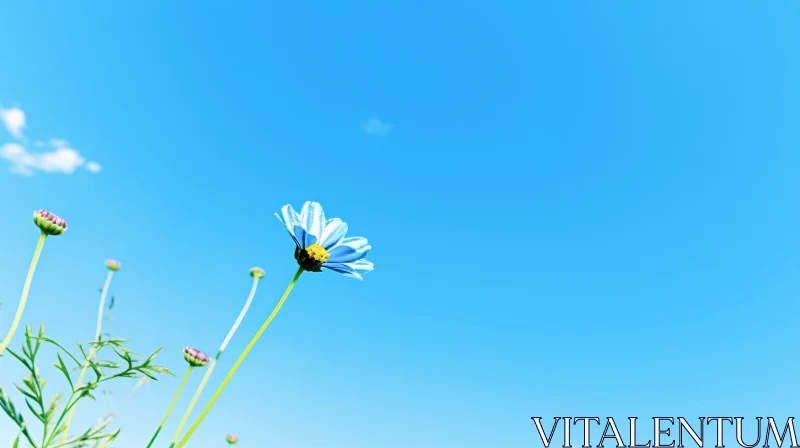 AI ART Blue Daisy Flower in Full Bloom