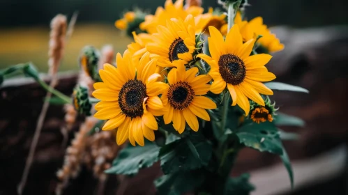 Bright Yellow Sunflower Bouquet