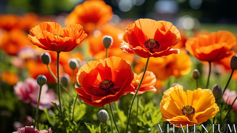 Field of Red and Yellow Poppies - Close-up Floral Beauty AI Image