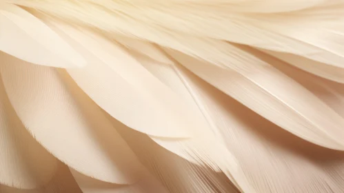 Ethereal White Feather Close-Up
