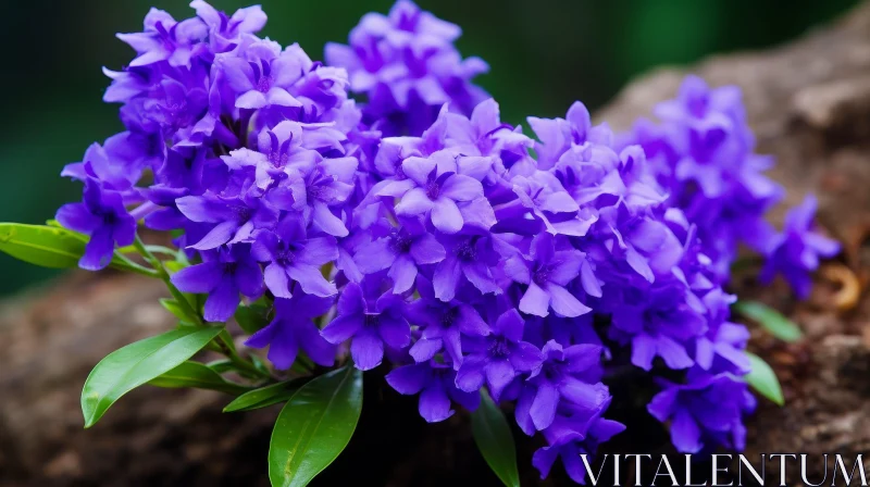Delicate Violet Flowers Cluster - Close-Up Beauty AI Image